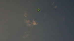 image1