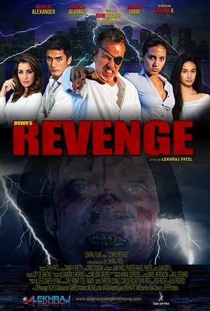 Poster Down's Revenge 2019
