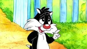 Baby Looney Tunes Cool for Cats