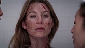 Anatomía de Grey temporada 2 capitulo 17