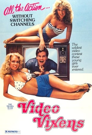 Poster Video Vixens! 1975