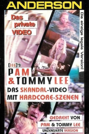 Poster Pam & Tommy Lee: Stolen Honeymoon 1998