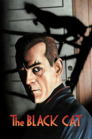 Постер фильма «Черный кот (1934)» — (13 из 25)