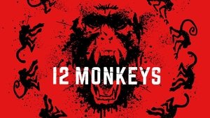 Images posters