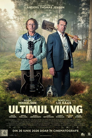 poster The Last Viking