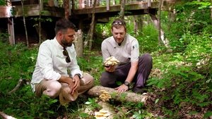 Épisode 2