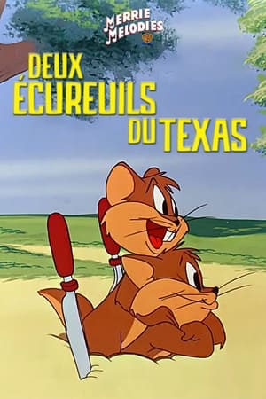 Image Deux écureuils du Texas