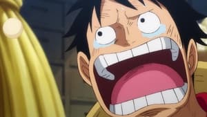 One Piece: 21×918