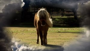 Parks and Recreation Li'l Sebastian