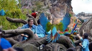 Au cœur de Disney’s Animal Kingdom