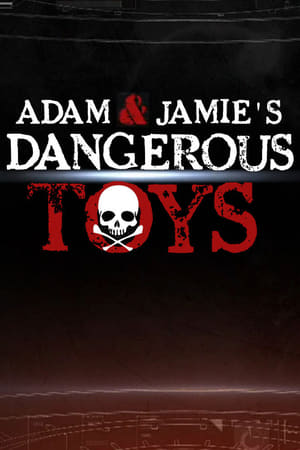 Image Dangerous Toys