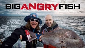 poster Big Angry Fish