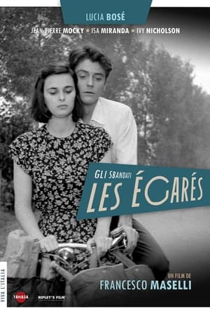 Poster Les égarés 1955