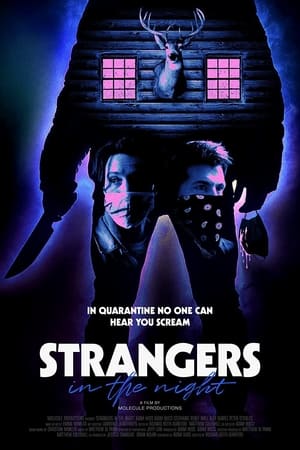 Poster Strangers in the Night (2021)