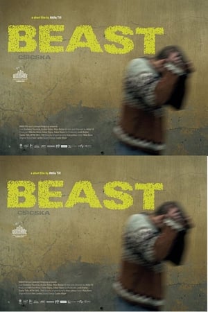 Image Beast