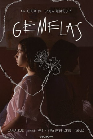 Gemelas 3