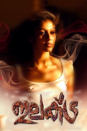 Poster Elektra (2010)