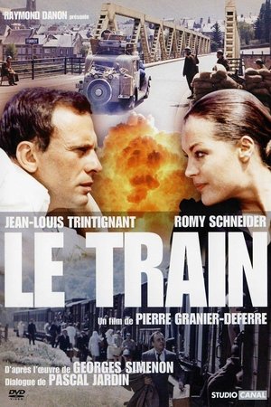 The Last Train poster