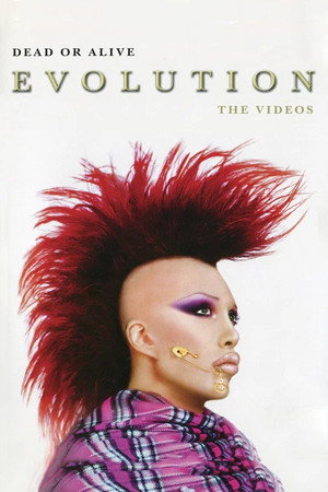 Dead Or Alive: Evolution - The Videos (2003) subtitle poster