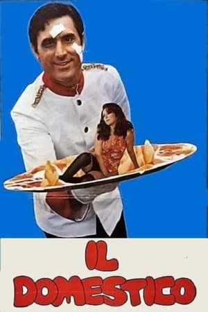 Poster Il domestico 1974