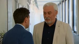 Slunečná: 1×138