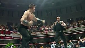 RAW 239
