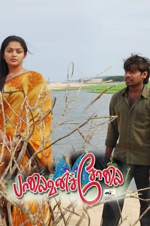 Poster Palaivana Solai (2009)