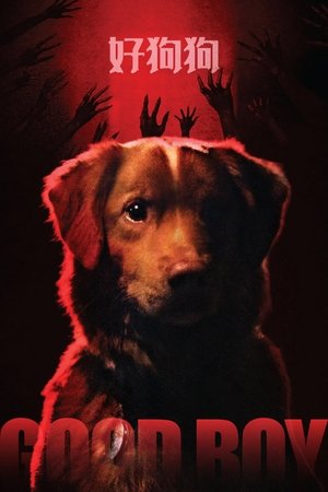 Image 好狗狗