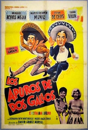 Poster Los apuros de dos gallos (1963)