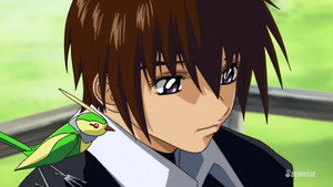 Mobile Suit Gundam Seed HD Season 1: False Peace