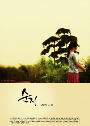 Poster May Story (2010)