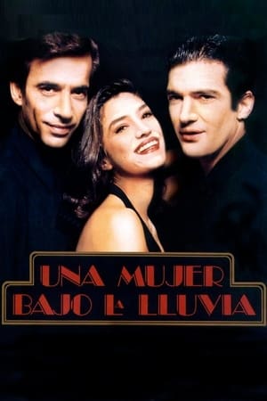 Poster Una mujer bajo la lluvia 1992