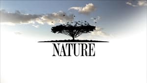 poster Nature