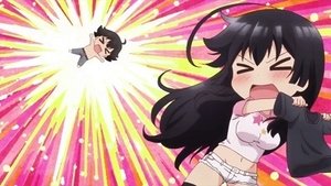 Shomin Sample: 1×8