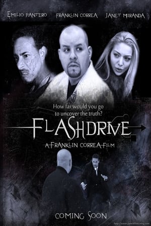 Poster Flashdrive (2012)