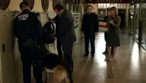 Blue Bloods 1 episodio 6