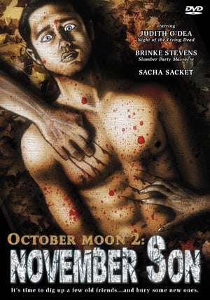 October Moon 2: November Son poster