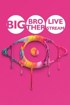 Image Big Brother: Live Stream