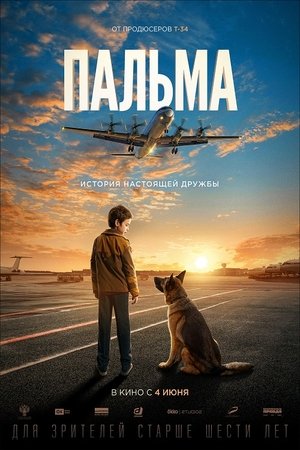 Watch A Dog Named Palm online