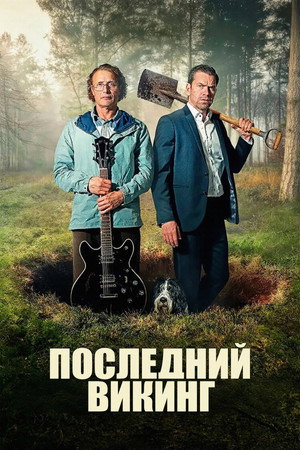 poster The Last Viking