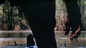 Le Monstre du lac noir