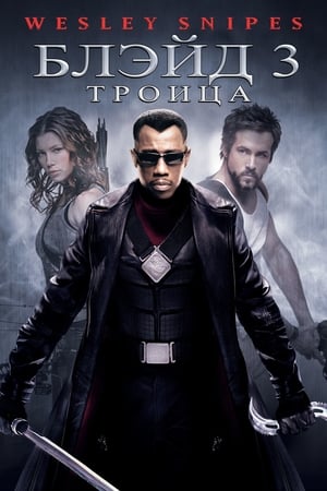 Poster Блэйд 3: Троица 2004