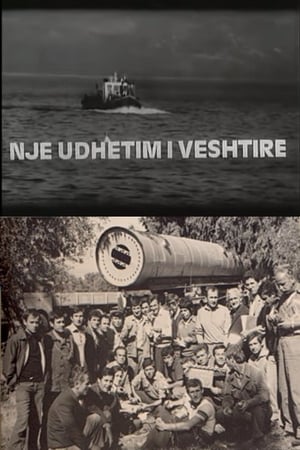 Një udhëtim i vështirë film complet