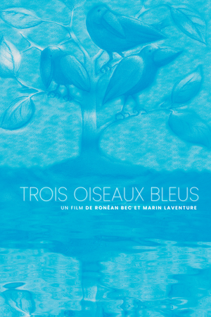 Trois oiseaux bleus — Logos 1