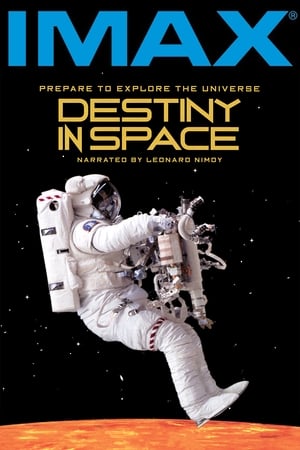 Poster Destinul în spațiu 1994