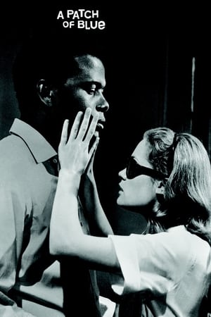 Click for trailer, plot details and rating of A Patch Of Blue (1965)