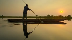 Into the Okavango