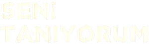 Seni Tanıyorum