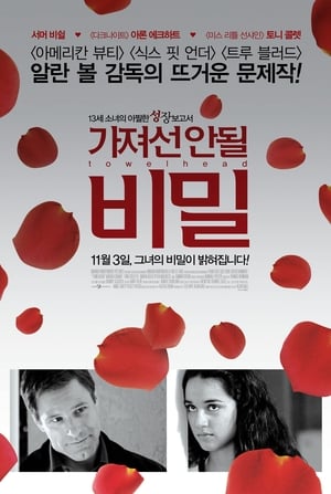 Poster 가져선 안될 비밀 2008