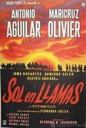 Sol en llamas poster